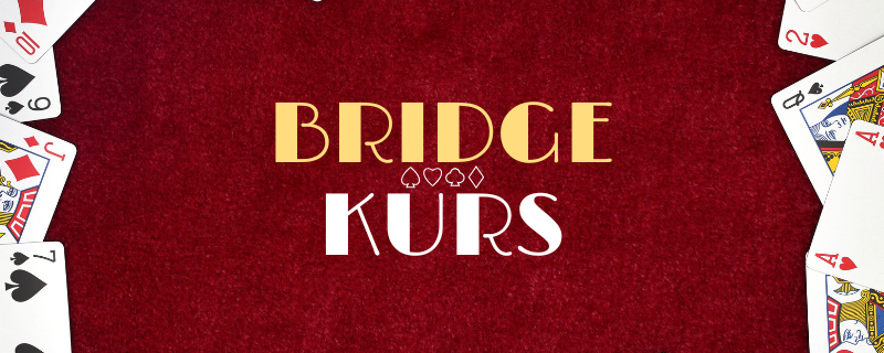BridgeKurs